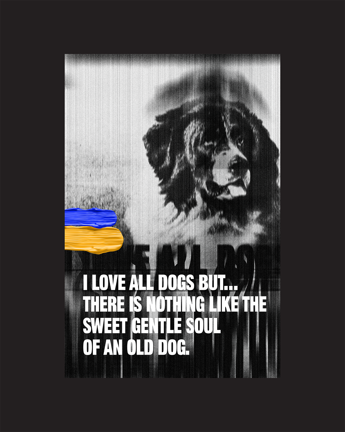 Written Word: I love all dogs but...