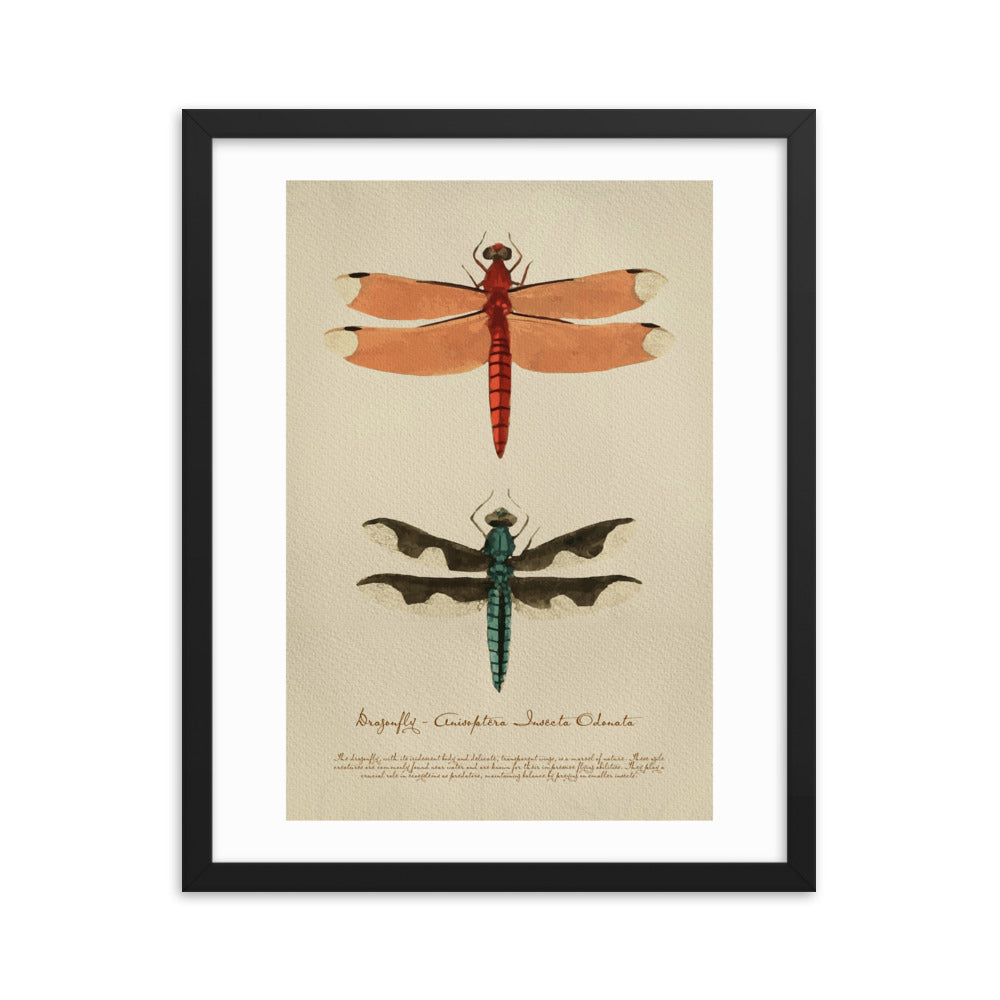 Insects - Dragonfly 0.3