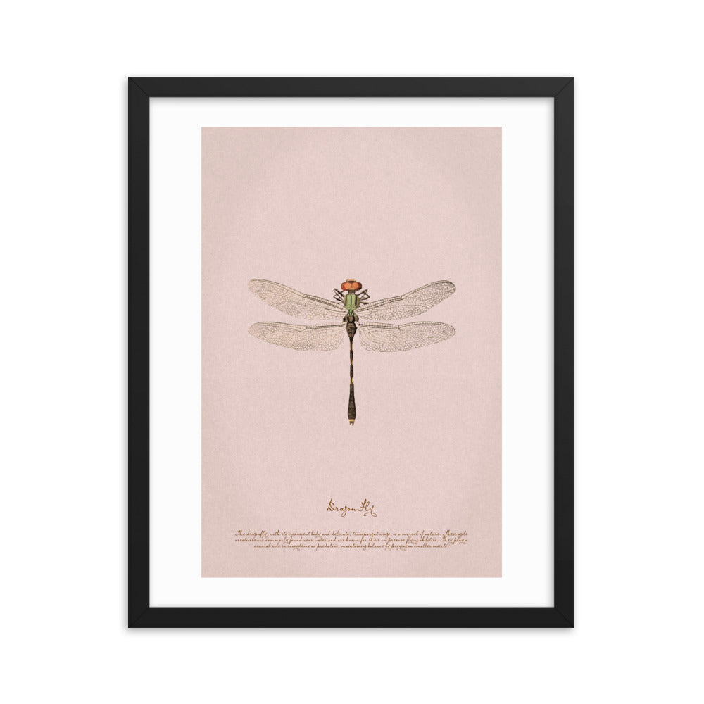 Insects - Dragonfly 0.4