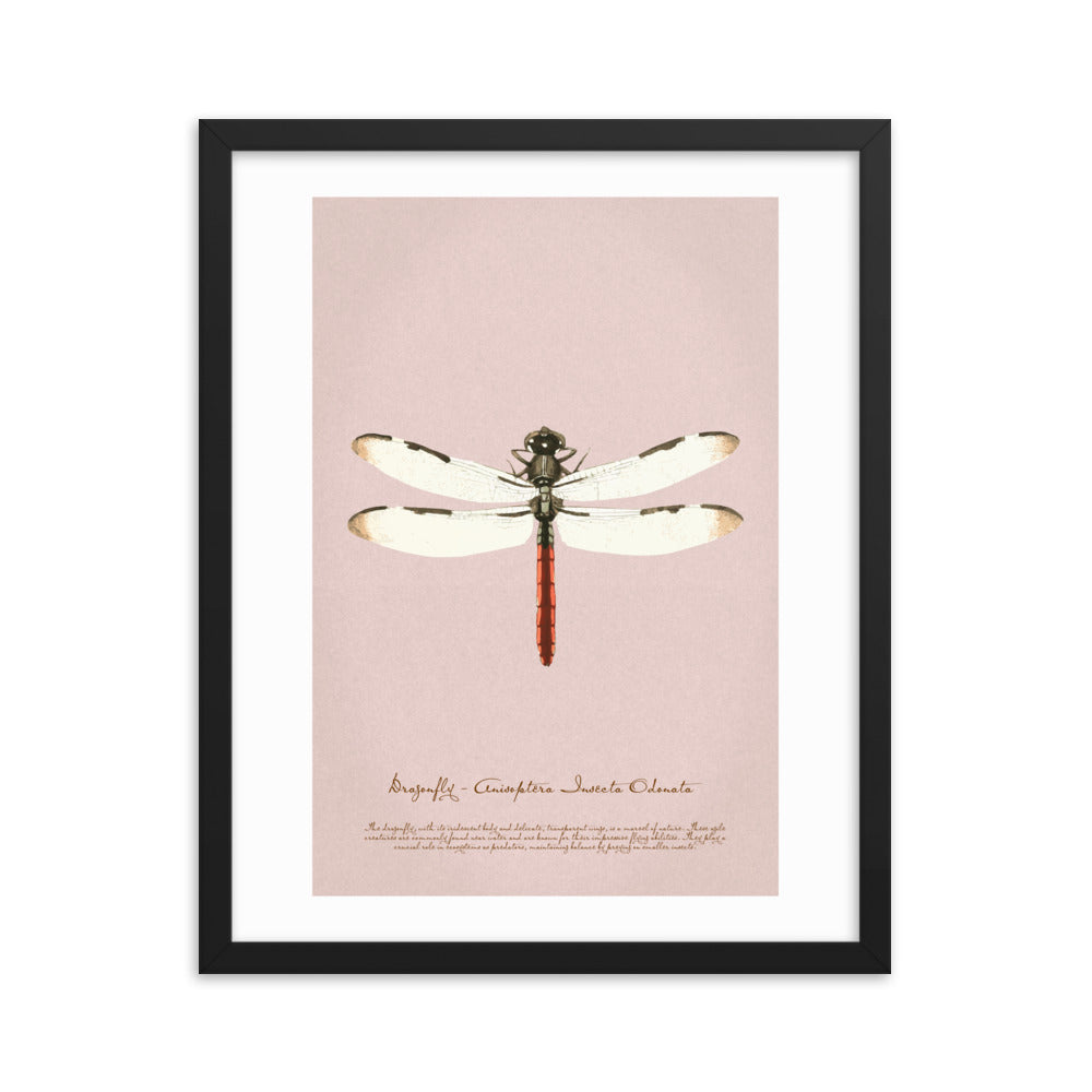 Insects - Dragonfly 0.8