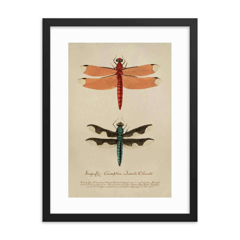 Insects - Dragonfly 0.3