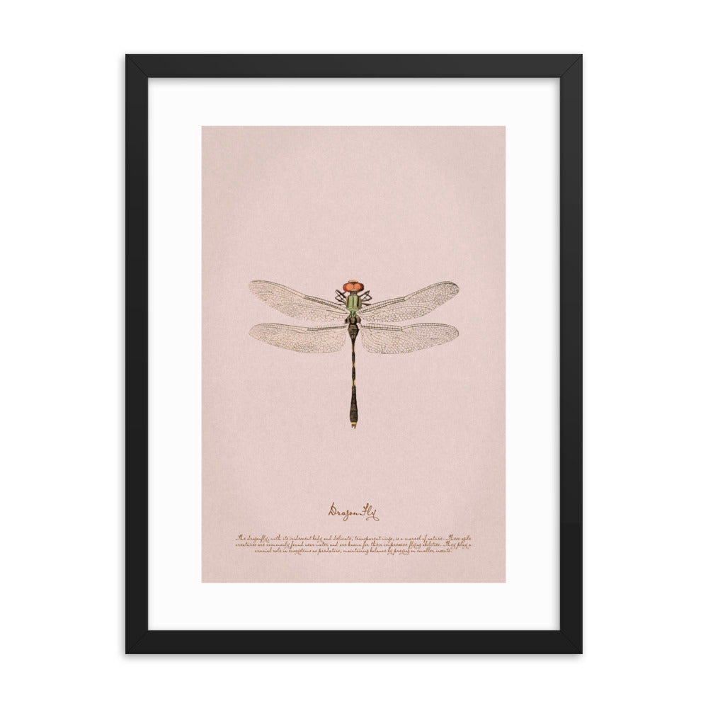 Insects - Dragonfly 0.4