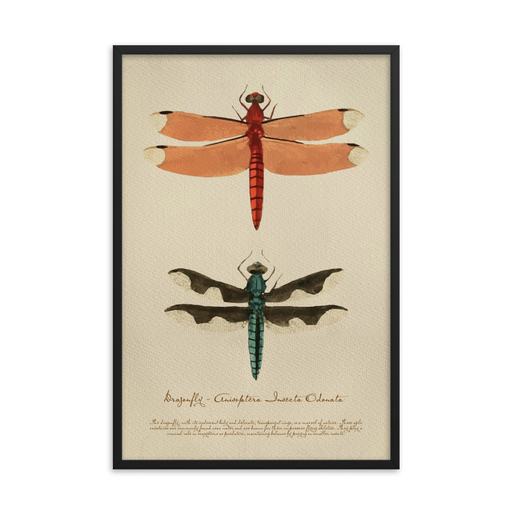 Insects - Dragonfly 0.3