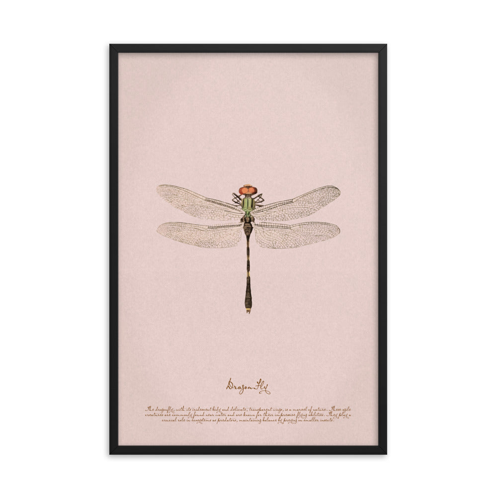 Insects - Dragonfly 0.4