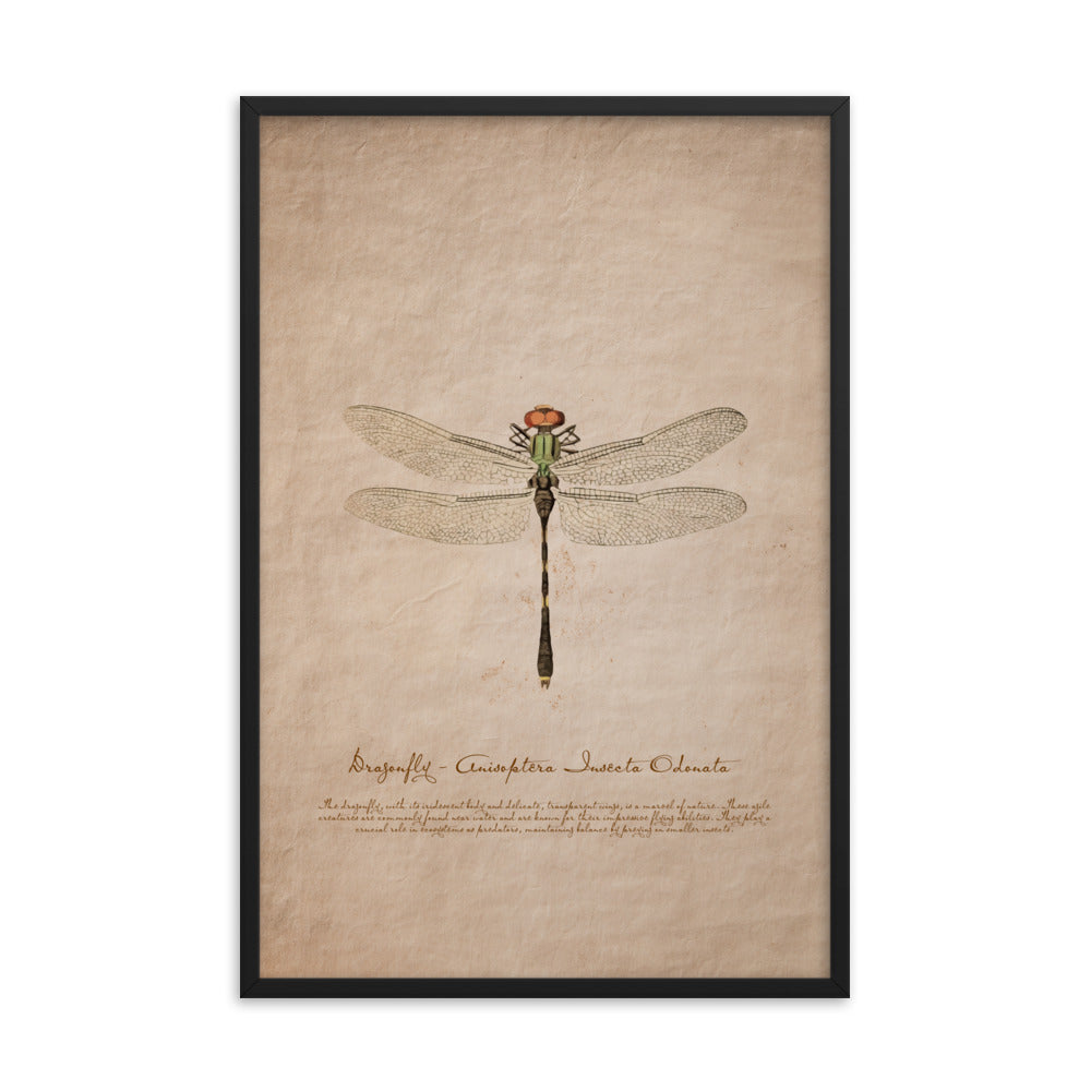 Insects - Dragonfly 0.7