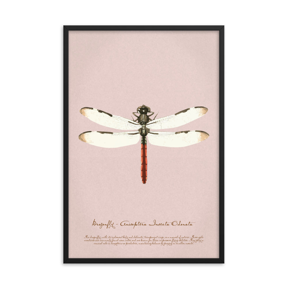 Insects - Dragonfly 0.8