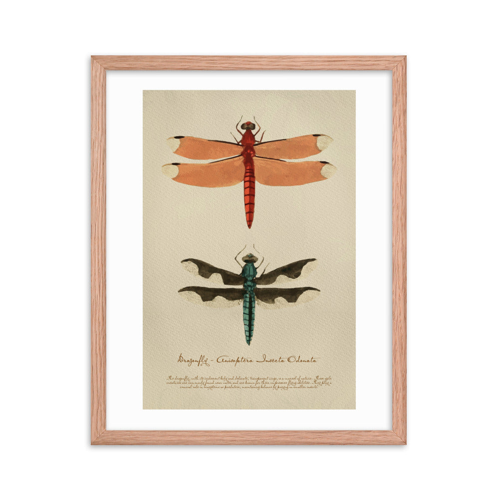 Insects - Dragonfly 0.3