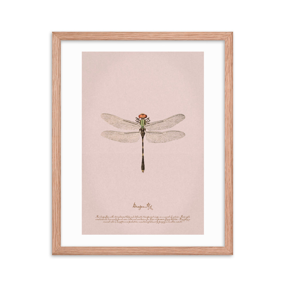 Insects - Dragonfly 0.4