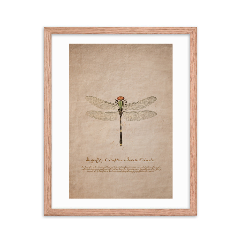 Insects - Dragonfly 0.7