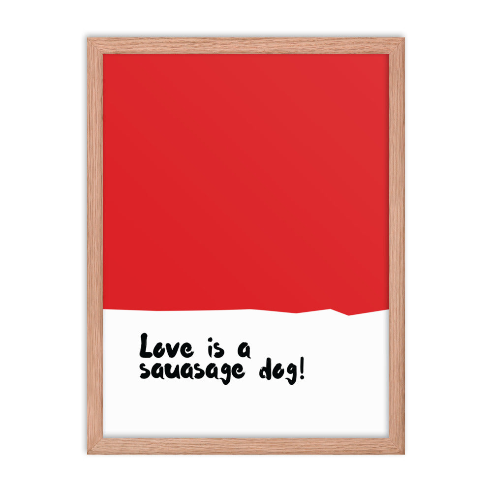 Dogs - Love is a sausage dog!