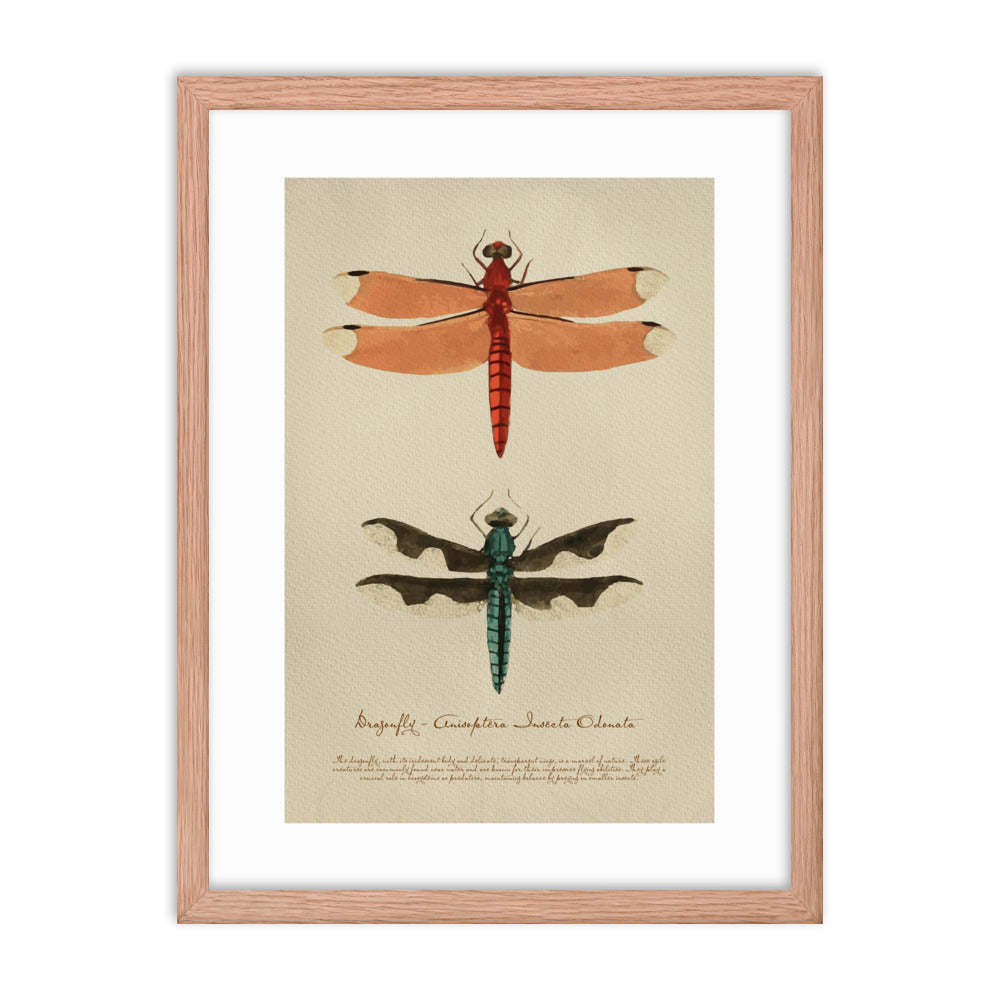 Insects - Dragonfly 0.3