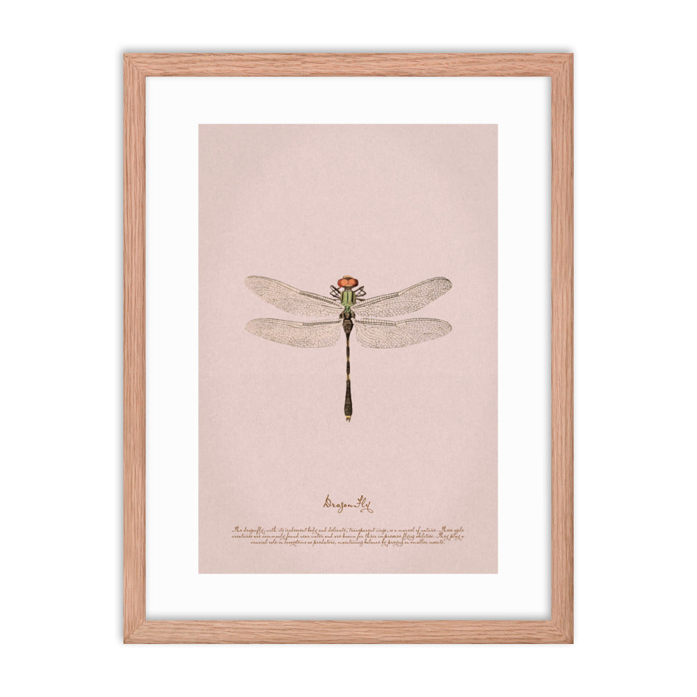 Insects - Dragonfly 0.4