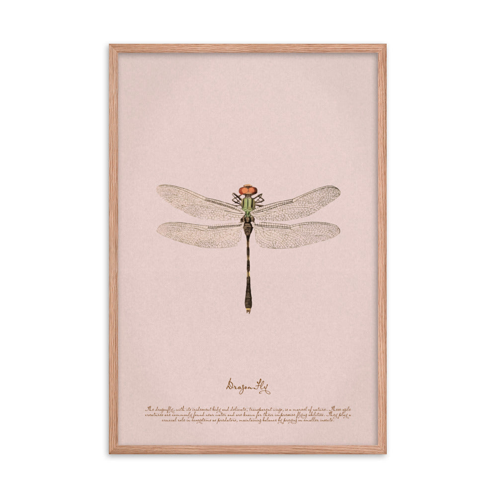 Insects - Dragonfly 0.4