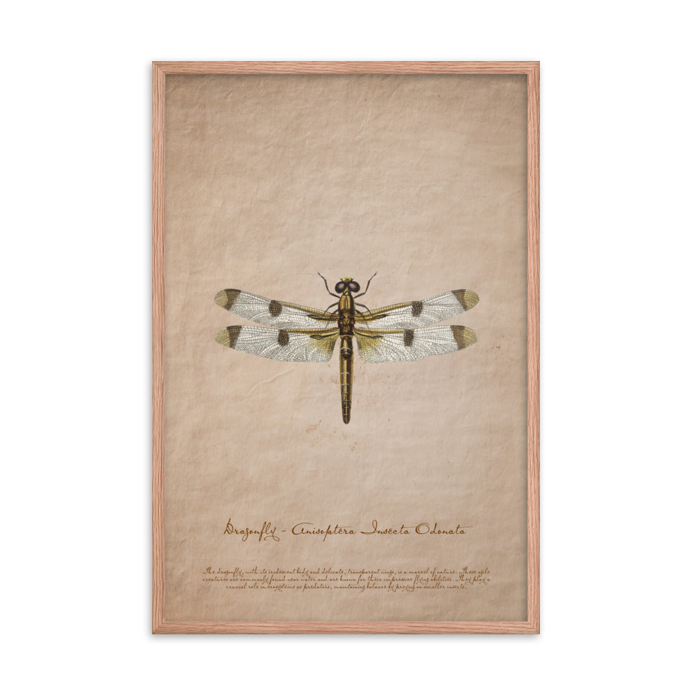 Insects - Dragonfly 0.7