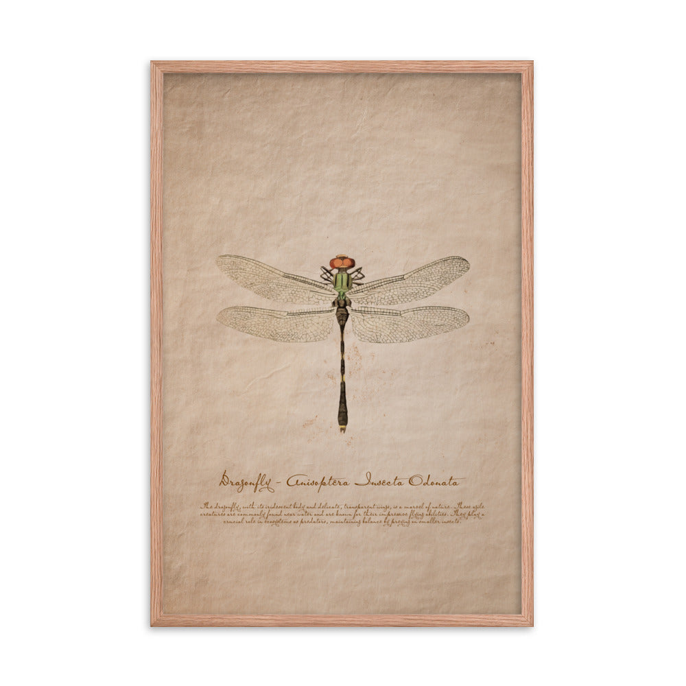 Insects - Dragonfly 0.7