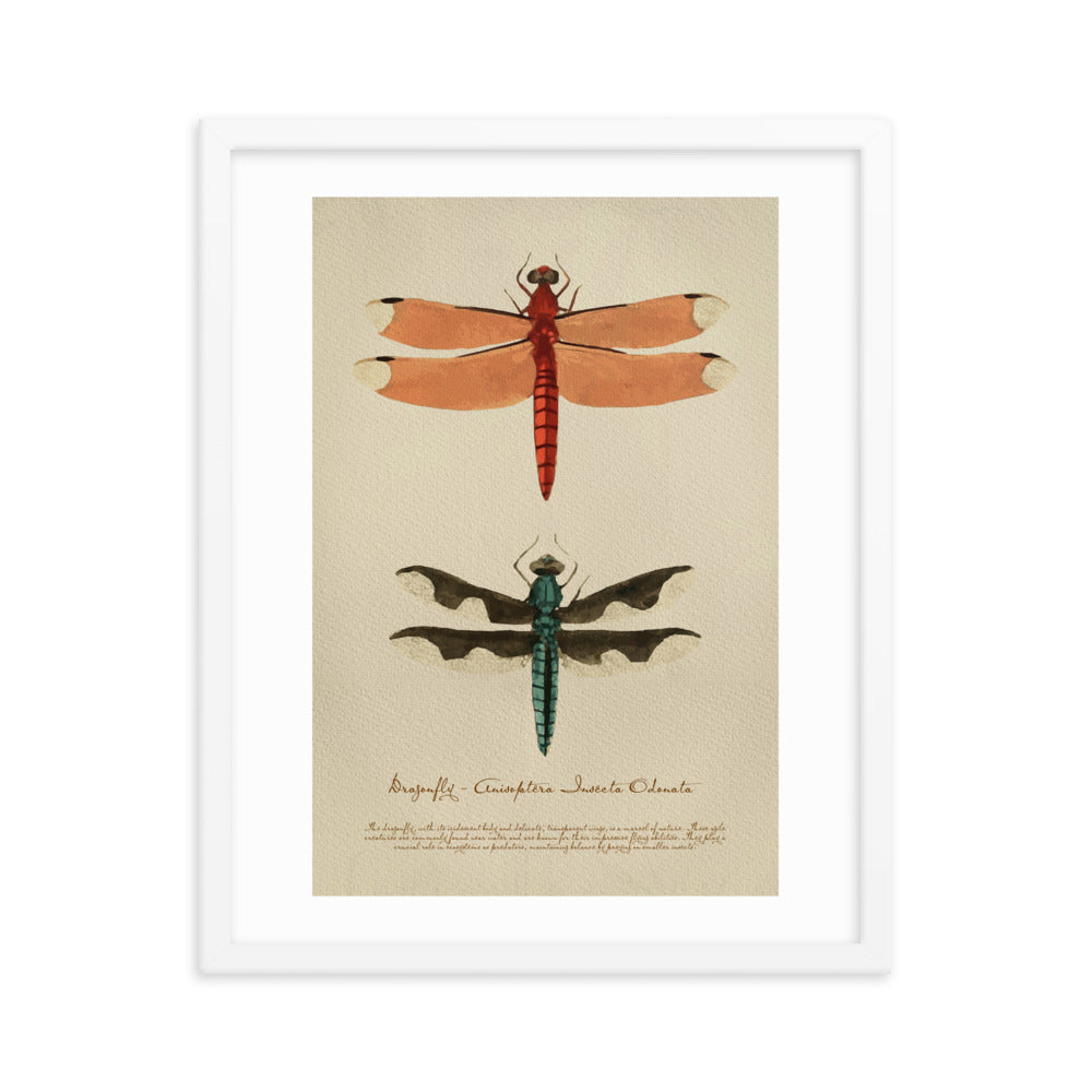 Insects - Dragonfly 0.3