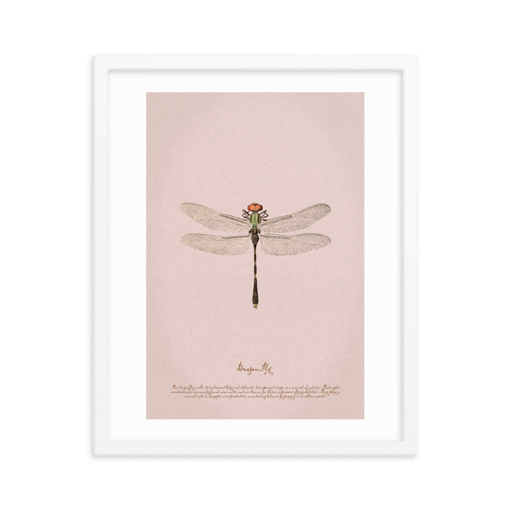 Insects - Dragonfly 0.4