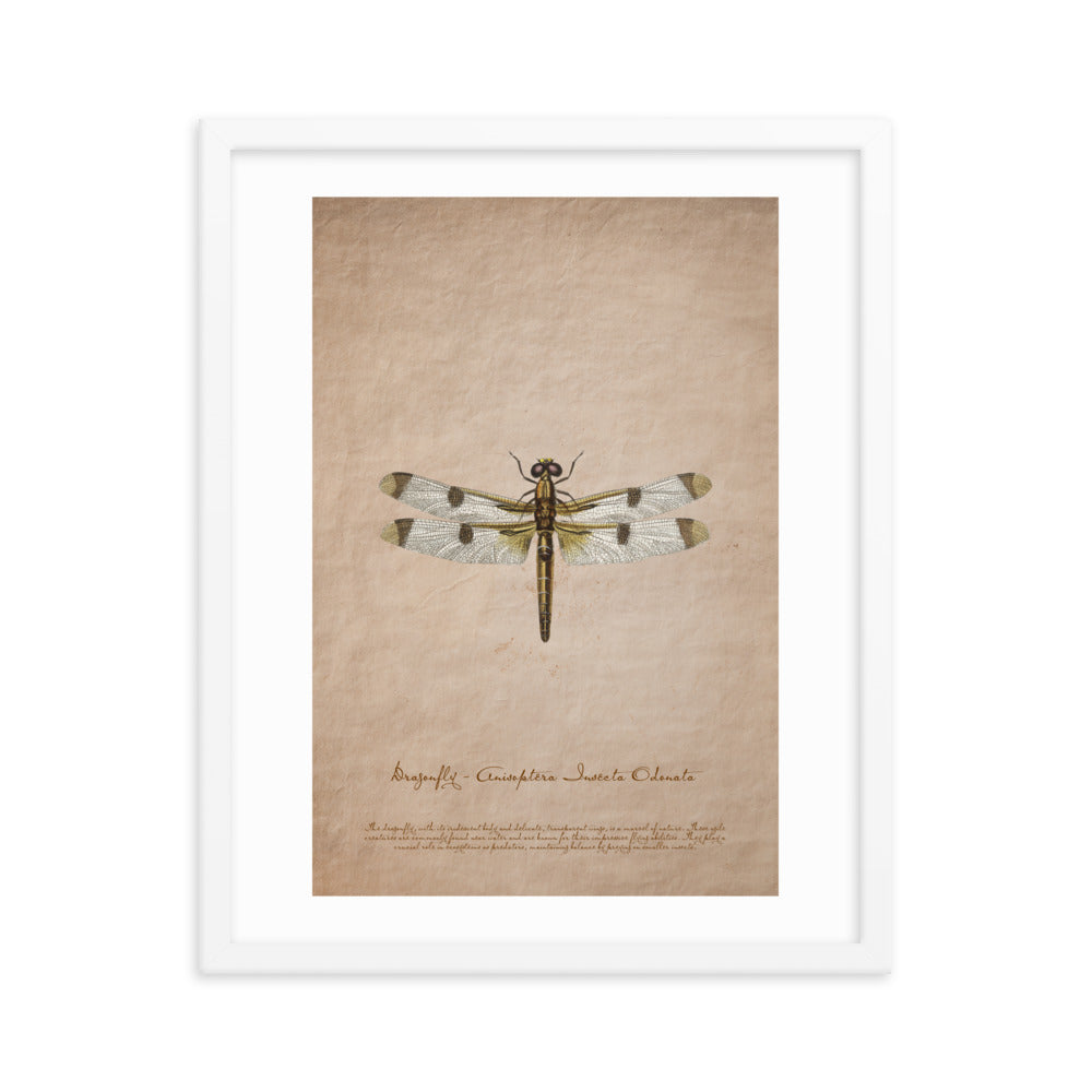 Insects - Dragonfly 0.7