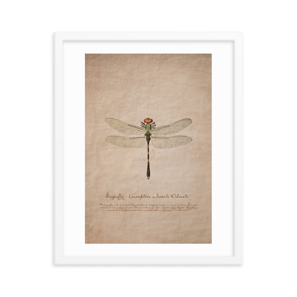 Insects - Dragonfly 0.7