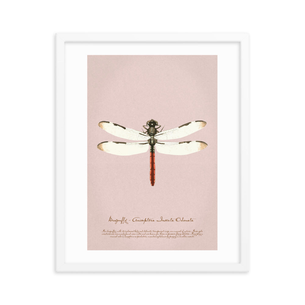 Insects - Dragonfly 0.8