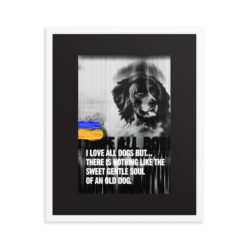 Written Word: I love all dogs but...