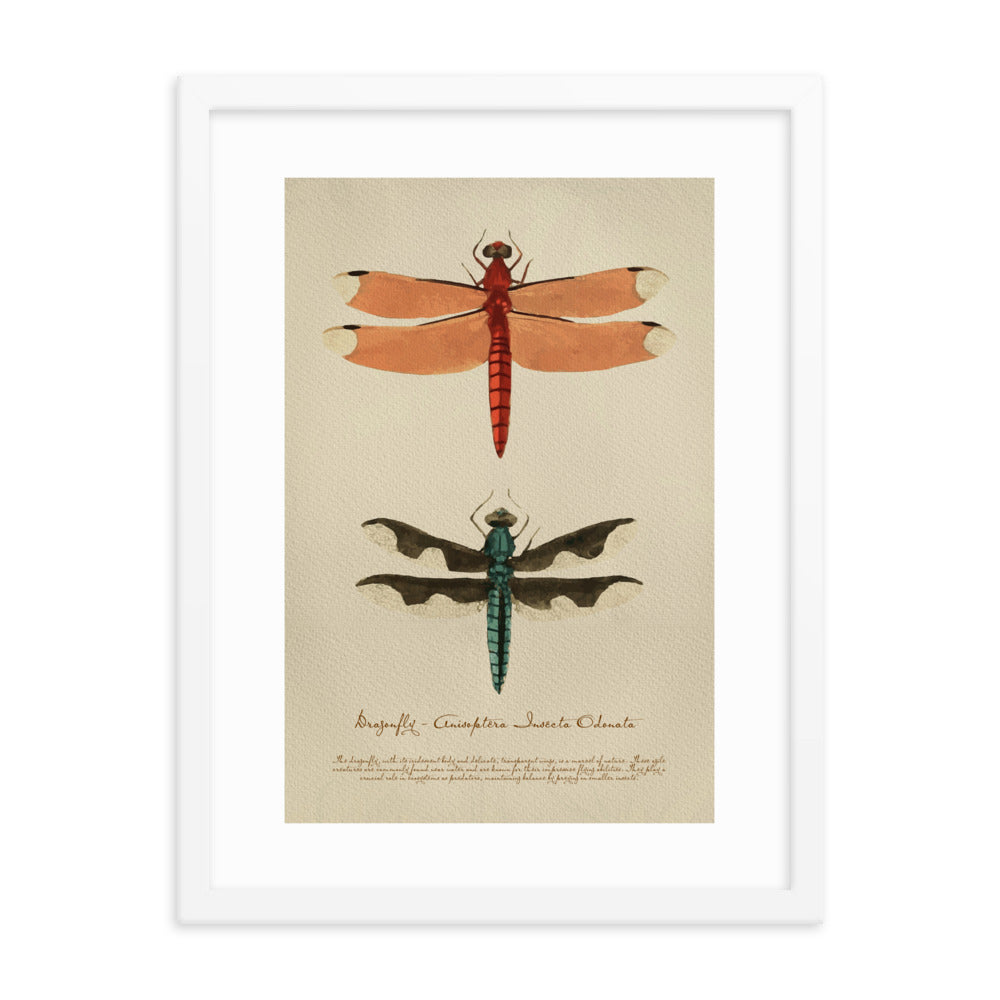 Insects - Dragonfly 0.3