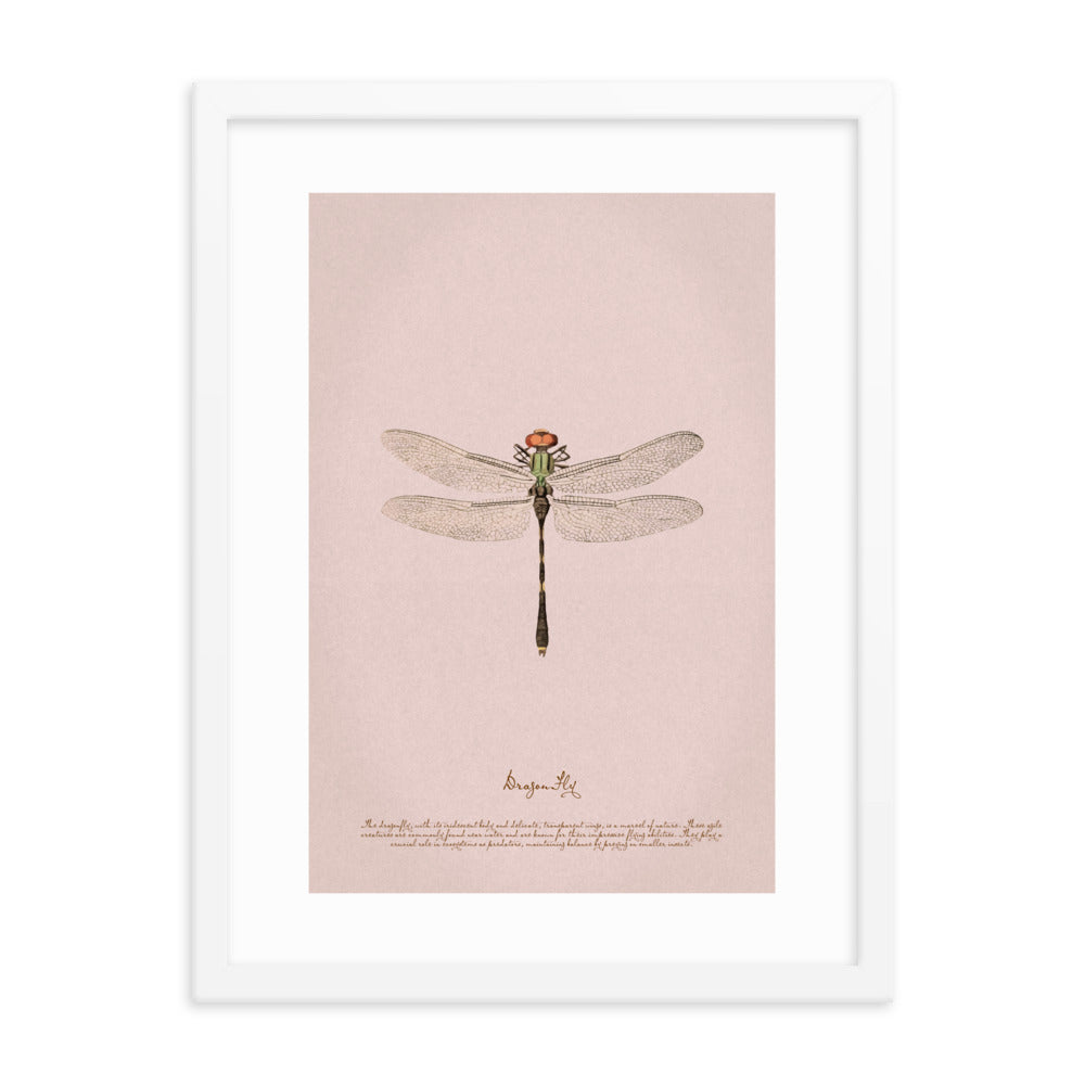 Insects - Dragonfly 0.4