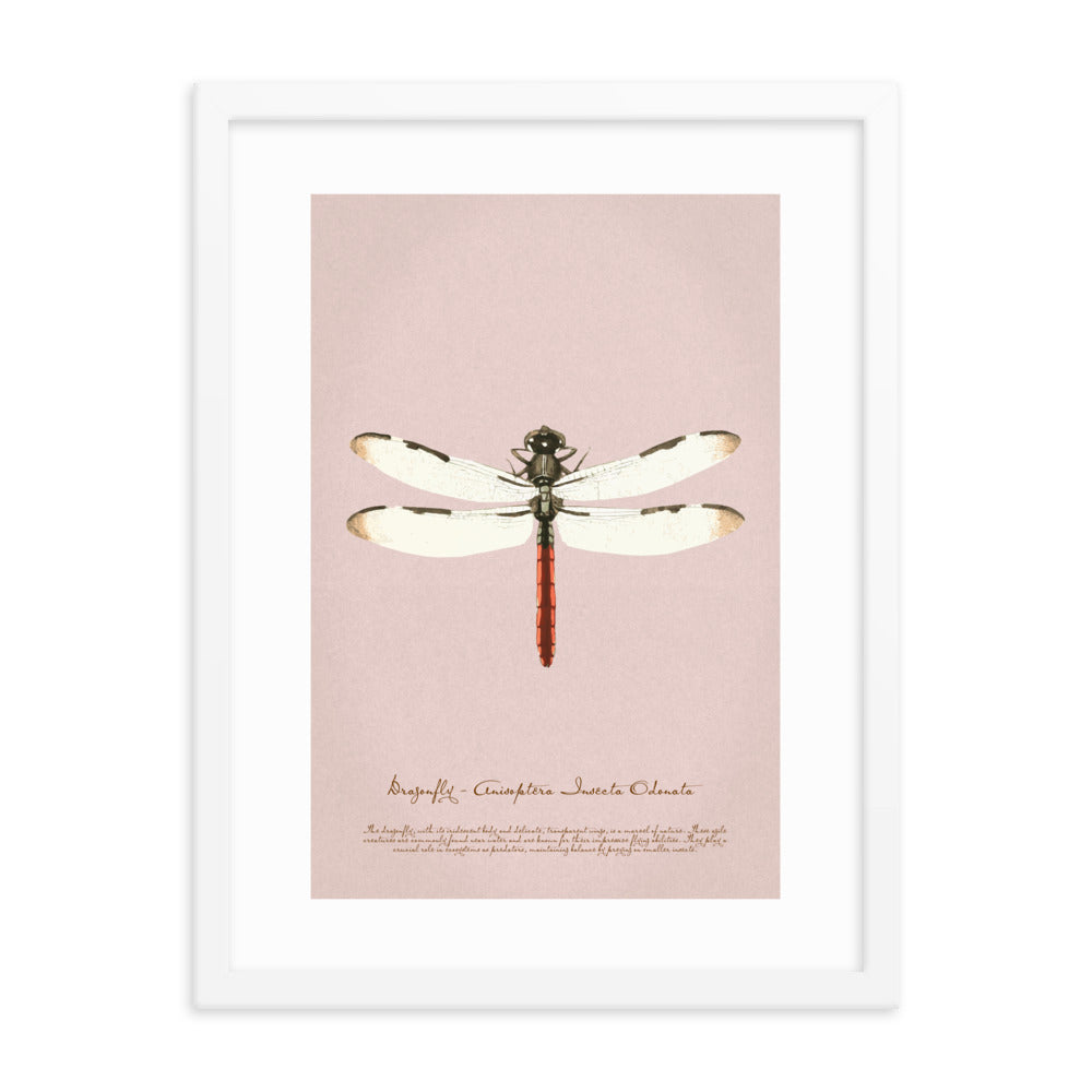 Insects - Dragonfly 0.8