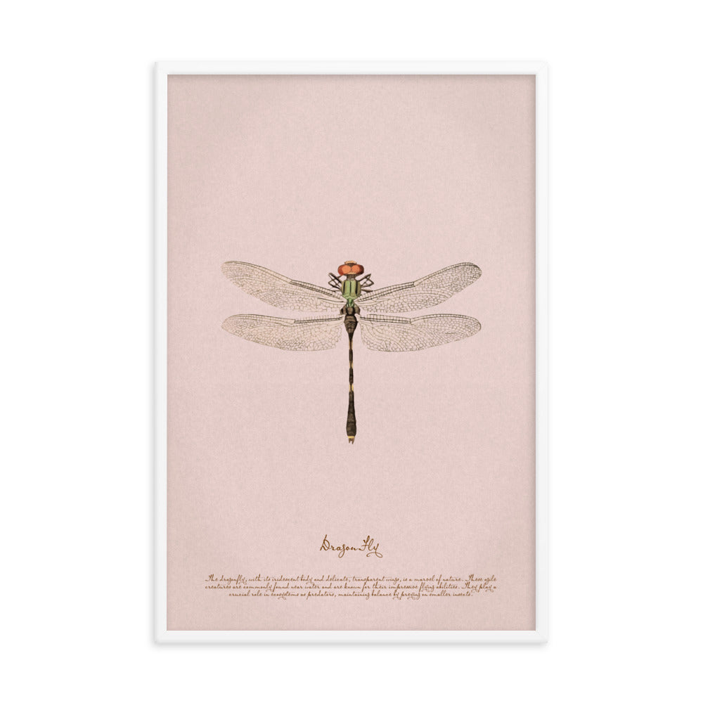 Insects - Dragonfly 0.4