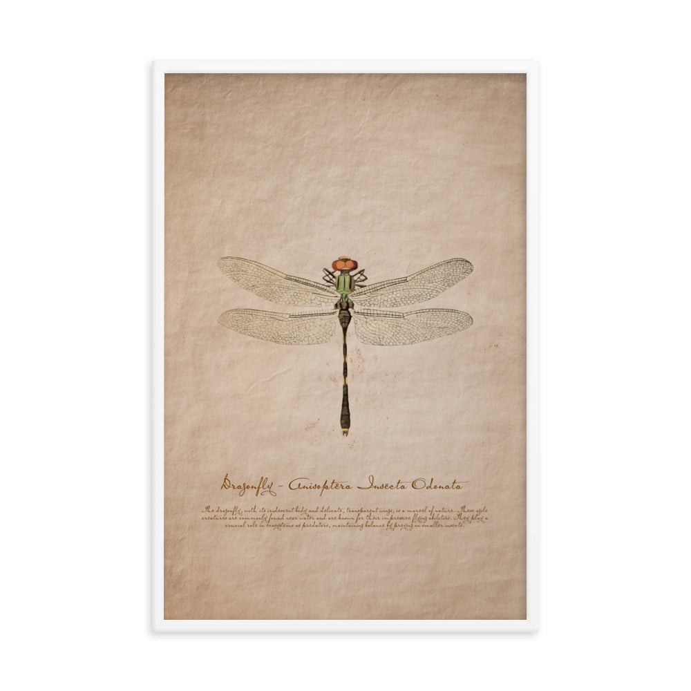 Insects - Dragonfly 0.7